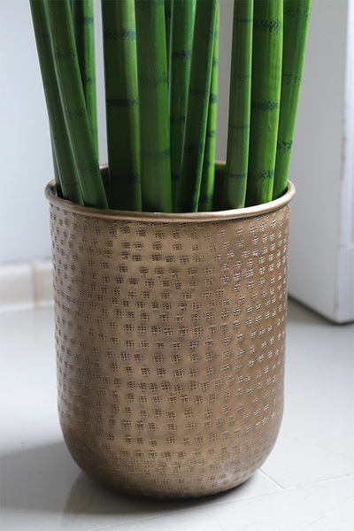 Sansewieria Gold, roślina sztuczna w ceramicznej donicy