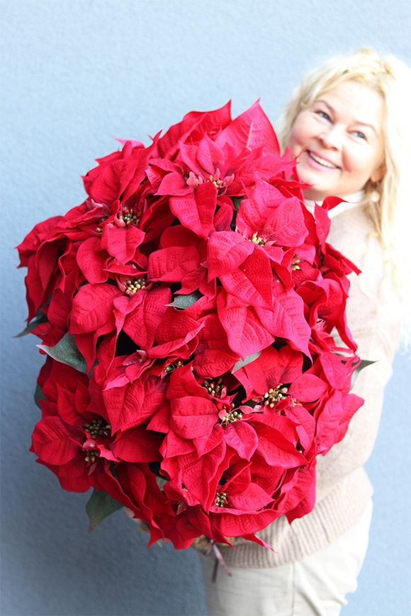 Gwiazda Betlejemska Hilton 2, wysokiej jakości sztuczna roślina