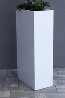 Fiberglass Grande Quadrina, ekskluzywny wysoki biały storczyk