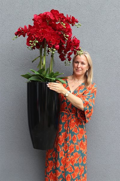 Grande Fiberglass Red Orchid, efektowny storczyk w czarnej donicy