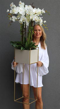 Duo Italiano, sztuczny storczyk na stojaku, wys.148cm 