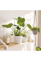 Classico, plastikowa donica z nawadnianiem