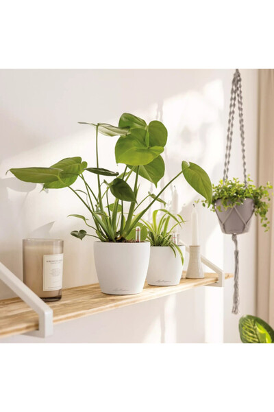 Classico, plastikowa donica z nawadnianiem