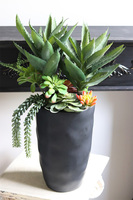 Ravenna, sukulenty w wysokiej donicy