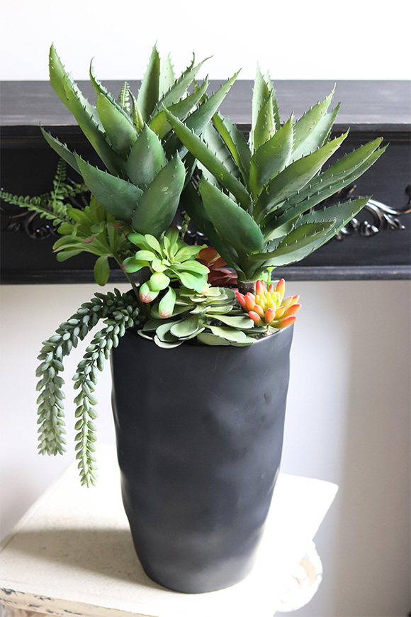 Ravenna, sukulenty w wysokiej donicy