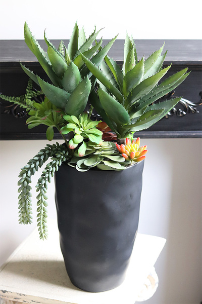 Ravenna, sukulenty w wysokiej donicy