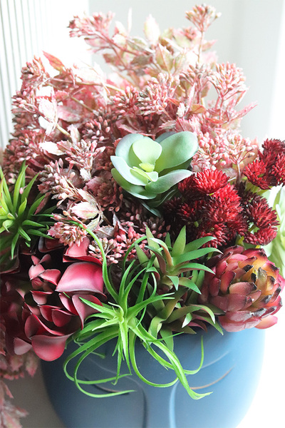 Persona Blue, sukulenty w głowie kompozycja