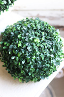 Neros 2, kula bukszpanowa w białym pucharze, wys.40cm