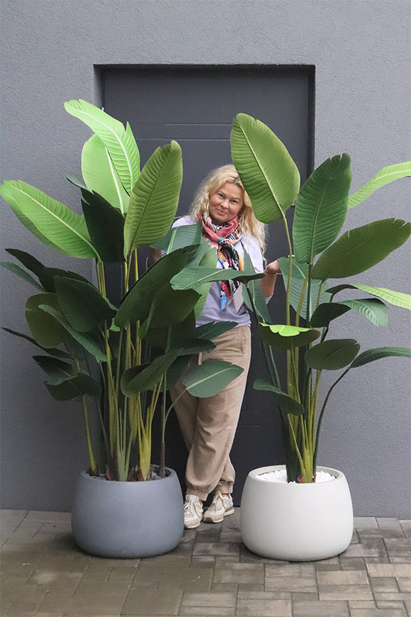 Bananowiec Concrete Bowl sztuczna roślina w donicy