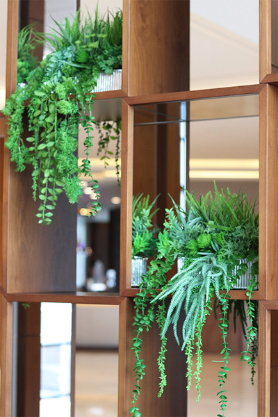 Hilton Green, kompozycja sukulenty w srebrnej donicy