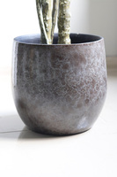 Monstera Clementine, drzewko sztuczne w donicy