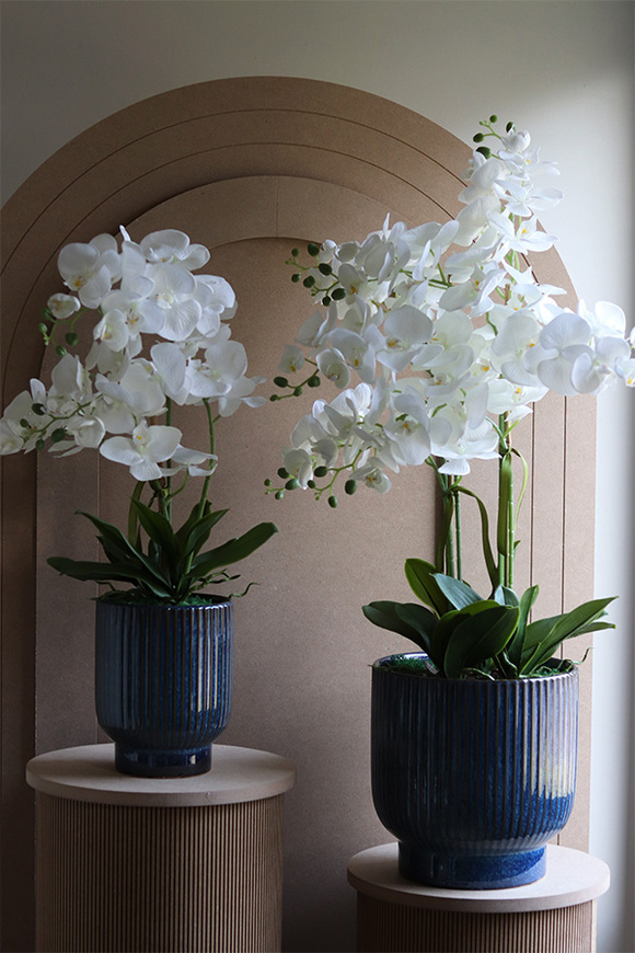  Deep Blue , sztuczny storczyk w granatowej donicy