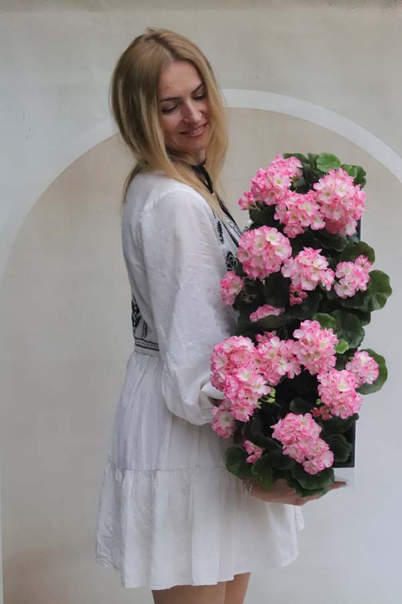 Summer Balcony Pink 3, różowe pelargonie w skrzynce balkonowej