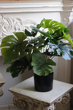 Monstera A, sztuczne drzewko w osłonce / donicy, wym.50x55x55cm