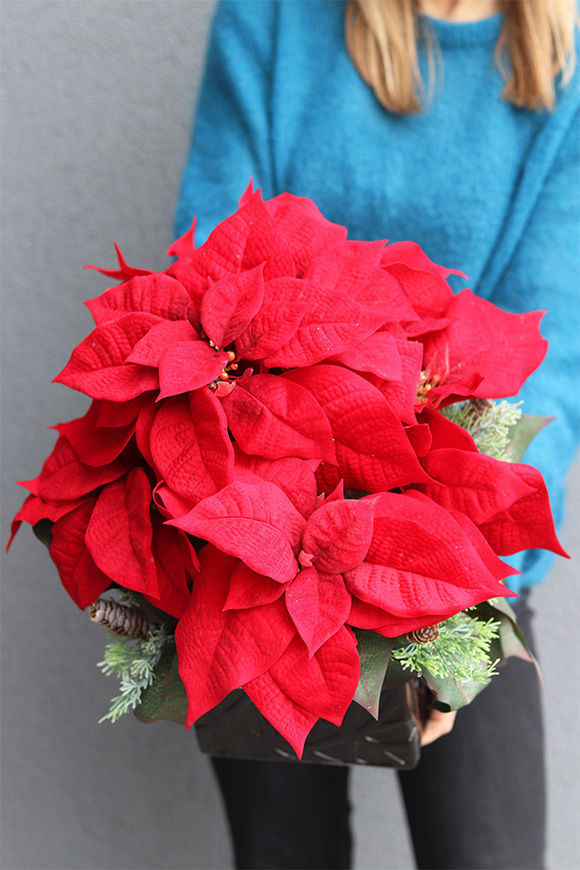 Gwiazda Betlejemska Black Modern, wysokiej jakości sztuczna roślina