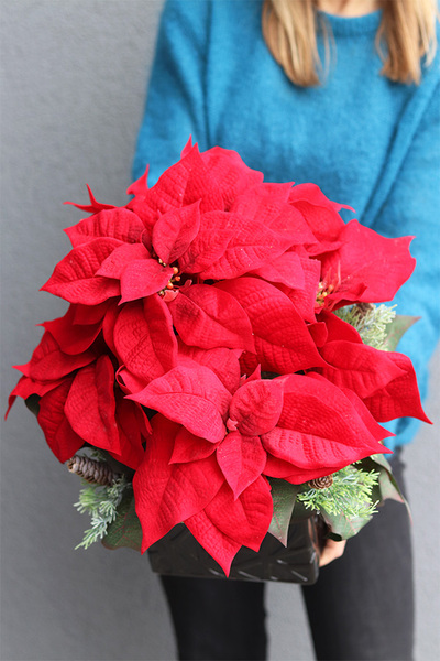 Gwiazda Betlejemska Black Modern, wysokiej jakości sztuczna roślina