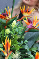 Elegia Betrano, kompozycja nagrobna ze strelicją