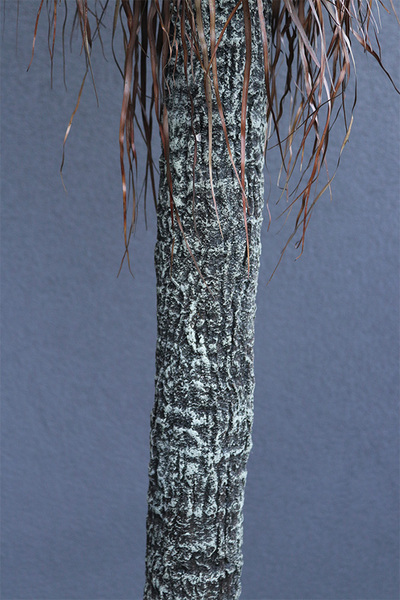 Jukka Rostrata, sztuczna roślina bez donicy, wys.214cm