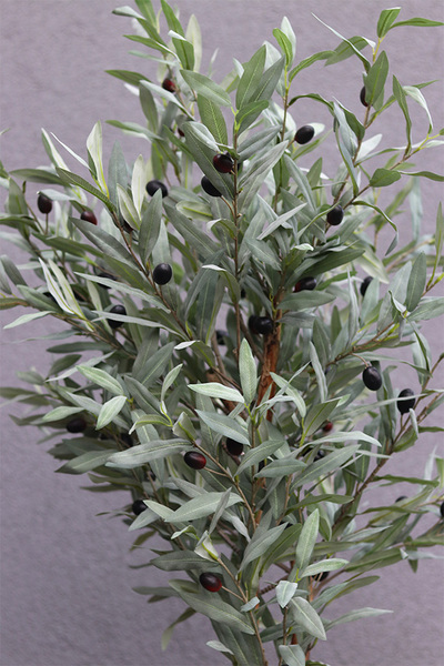 Oliwka New 2, sztuczne drzewko w osłonce