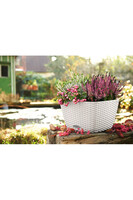 Bacino Cottage, elegancka donica z nawadnianiem