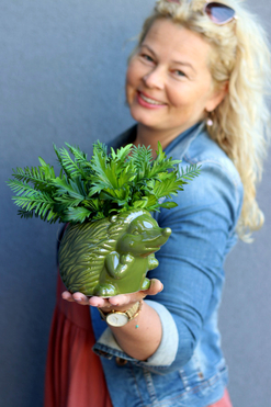 Jeżyk Fern, kompozycja z paprocią w naczyniu, wys.22cm