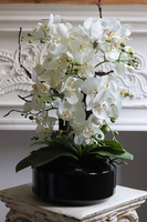 Gaina Black 2, wysokiej jakości sztuczny storczyk