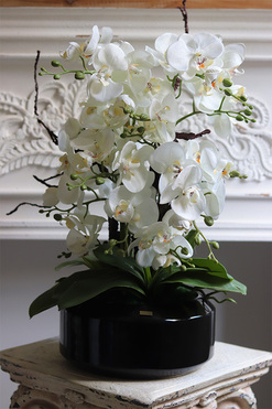 Gaina Black 2, wysokiej jakości sztuczny storczyk, wys.57cm 