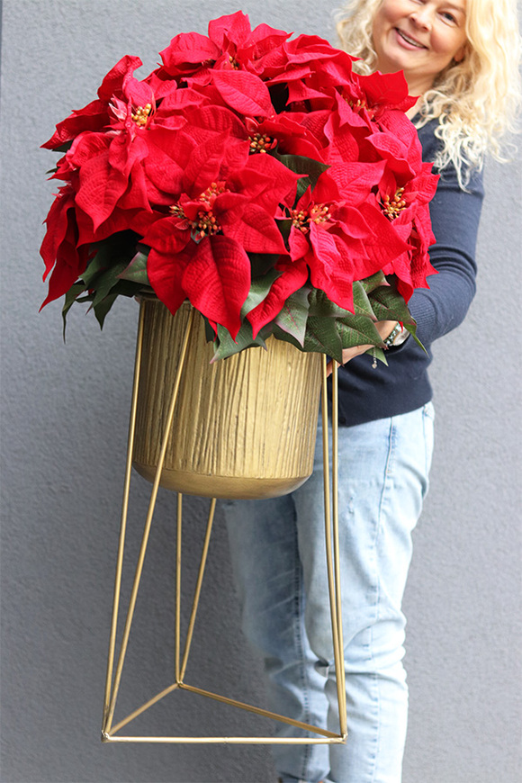 Gwiazda Betlejemska Goldena Większa, wysokiej jakości sztuczna roślina, wym. 96x47cm