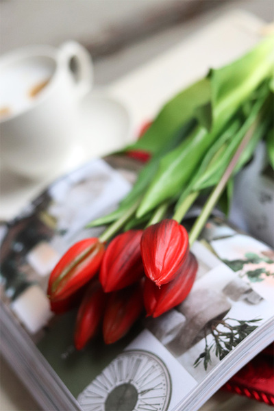 bukiet tulipanów gumowych, Goccia Red, 7szt. dł.40cm
