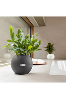 Puro, elegancka donica z nawadnianiem