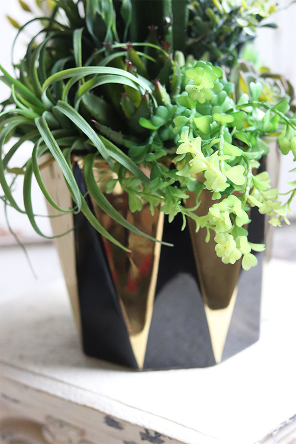 Cacti Black&Gold, sukulenty z kaktusem w czarnej donicy, wys.67cm