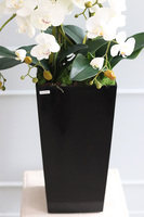 Mediolan Black New, storczyk podłogowy w czarnej donicy, wys.120cm