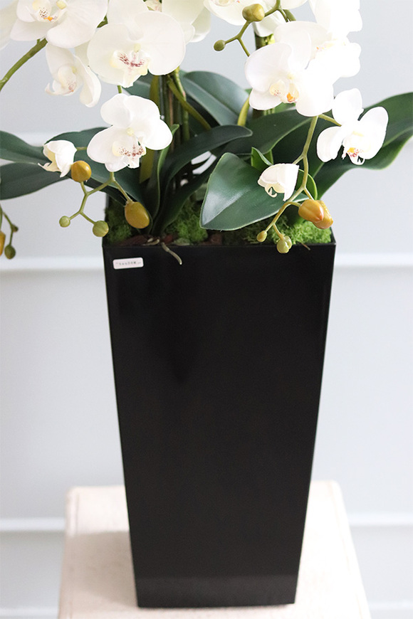 Mediolan Black New, storczyk podłogowy w czarnej donicy, wys.120cm