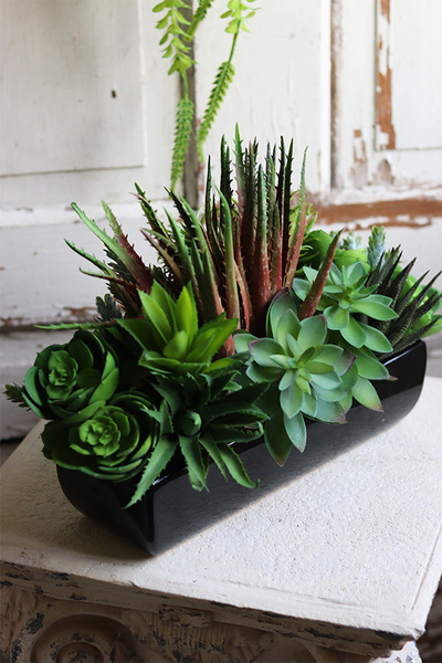 Begra Black, kompozycja sukulenty w podłużnej donicy, wym.27x38cm