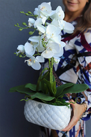 Bedroom White, sztuczny storczyk w pikowanej donicy