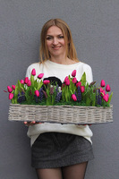 Tulipaneczki, kompozycja nagrobna w koszu