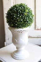 Neros 2, kula bukszpanowa w białym pucharze, wys.40cm