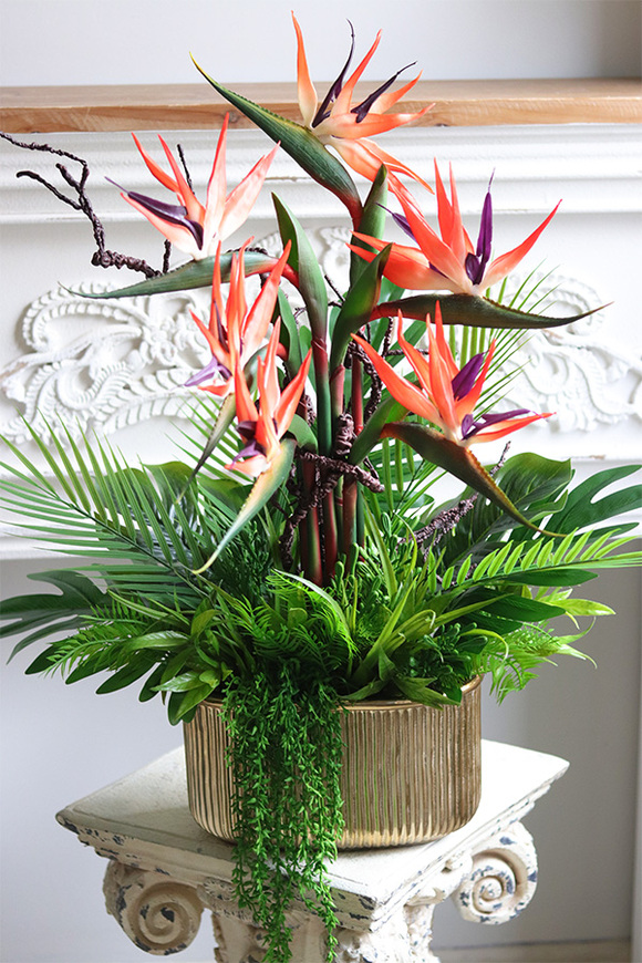 Strelicja Gold Red, kompozycja w złotej donicy