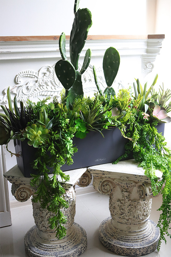 Opuncja Blaconera Cacti, sukulenty z kaktusem w szarej donicy