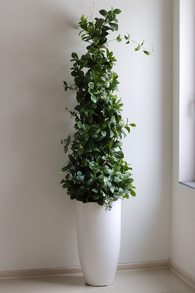 New Green Grande, drzewko sztuczne kolumnowe w donicy