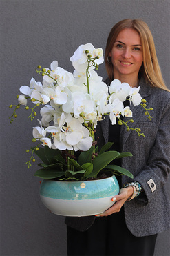 OD RĘKI Quemada Turkus, sztuczny storczyk w ozdobnej misie, wys.55cm