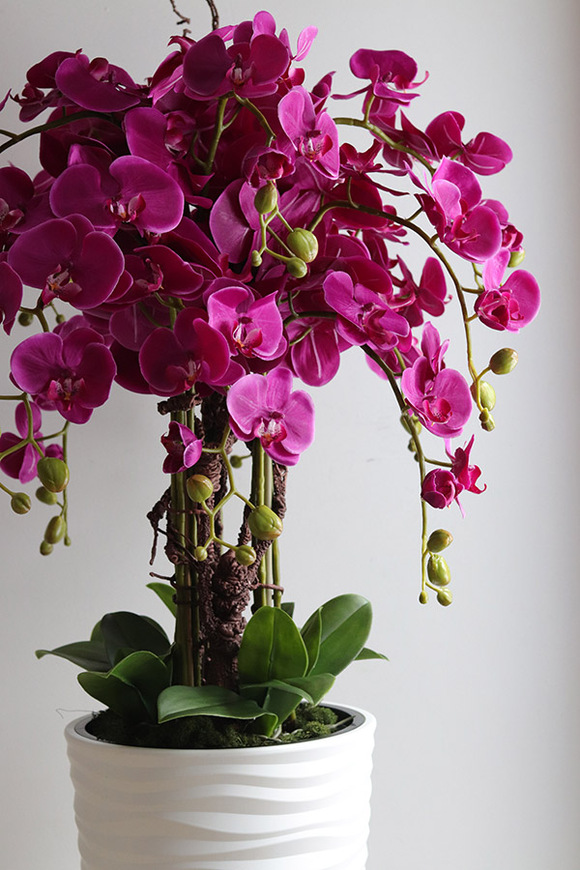 Gizelle Fuksja 2, wysoki sztuczny storczyk w białej donicy