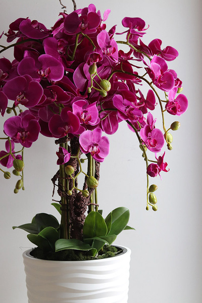 Gizelle Fuksja 2, wysoki sztuczny storczyk w białej donicy