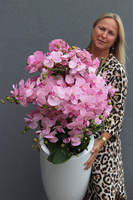 Fiberglass Grande Pudrovy 2, storczyk w białej donicy