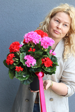 Pelargonie Dorotea, bukiet nagrobny we wkładzie do wazonu 