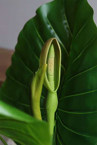 Filodendron Concrete, sztuczna roślina w doniczce