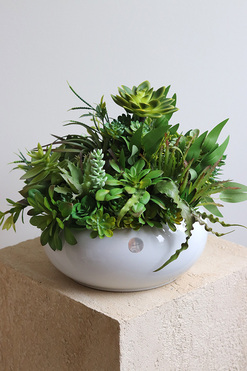 Green Betra Piano 2, kompozycja sukulenty w okrągłej donicy, wym.27x34cm 