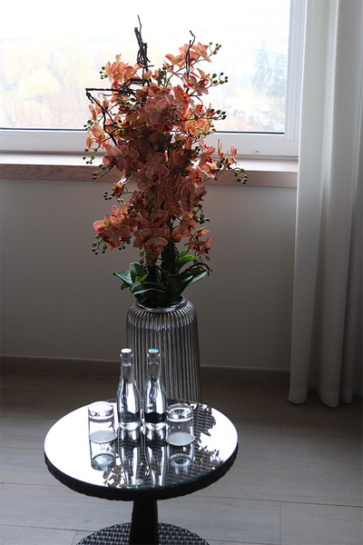 Granada Albina Silver, gumowy storczyk w srebrnej donicy