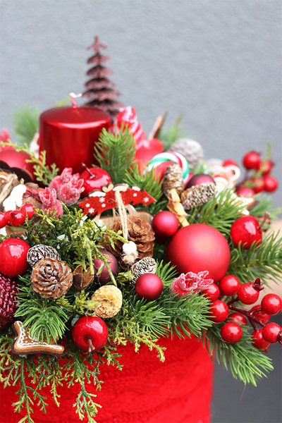 Gwiazdka z Leonem 2, flowerbox świąteczny