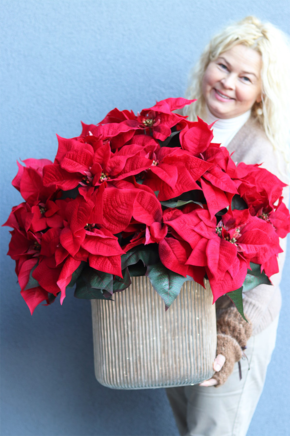 Gwiazda Betlejemska Hilton 2, wysokiej jakości sztuczna roślina